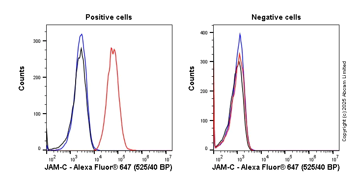 Flow Cytometry - Alexa Fluor® 647 Anti-JAM-C antibody [EPR29224-576] (AB323939)