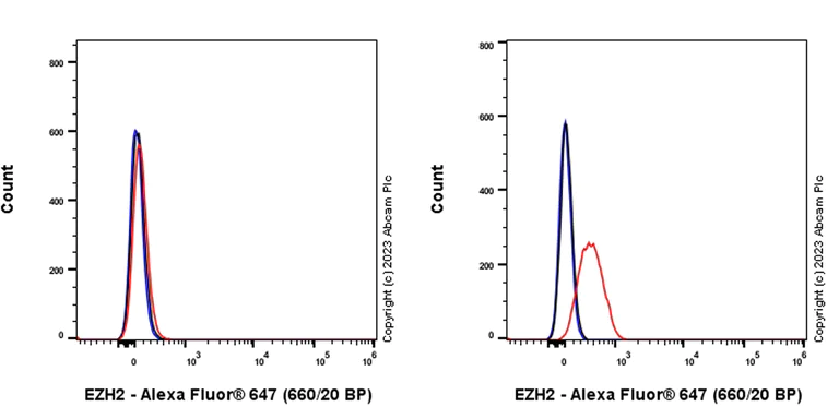 Flow Cytometry (Intracellular) - Alexa Fluor® 647 Anti-KMT6 / EZH2 antibody [EPR25353-284] (AB317360)