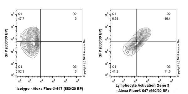 Flow Cytometry - Alexa Fluor® 647 Anti-LAG-3 antibody [EPR20261] (AB225486)