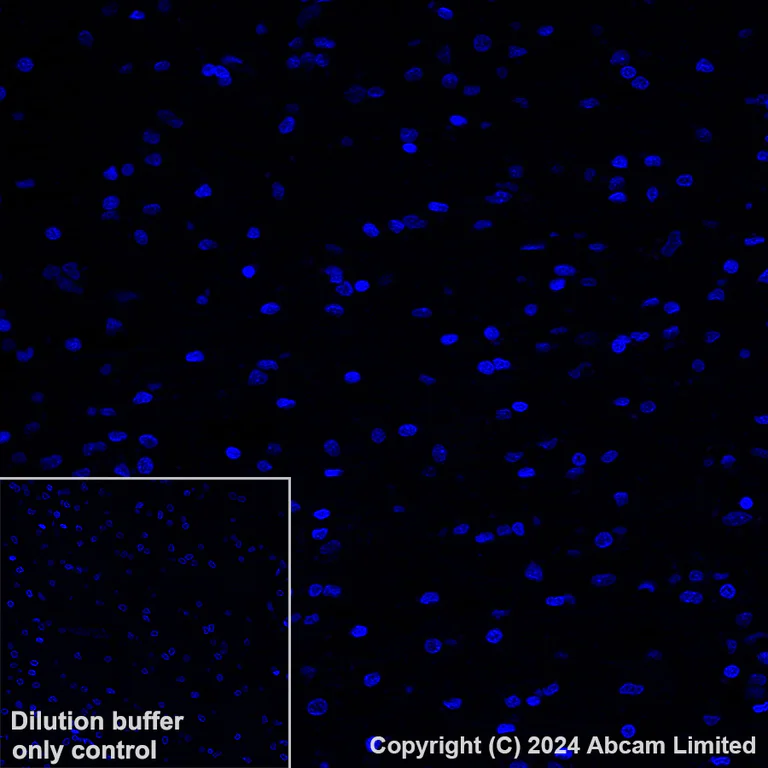 Immunohistochemistry (Formalin/PFA-fixed paraffin-embedded sections) - Alexa Fluor® 647 Anti-LI Cadherin antibody [EPR3996] (AB324000)