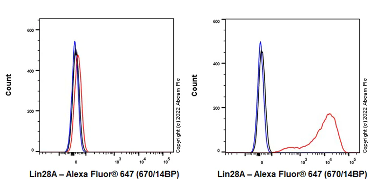 Flow Cytometry (Intracellular) - Alexa Fluor® 647 Anti-Lin28A antibody [EPR4640] (AB307629)