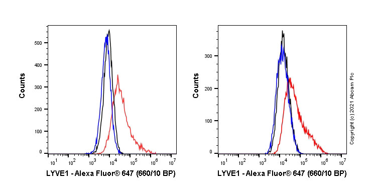 Flow Cytometry - Alexa Fluor® 647 Anti-LYVE1 antibody [EPR21771] (AB252162), expandable thumbnail