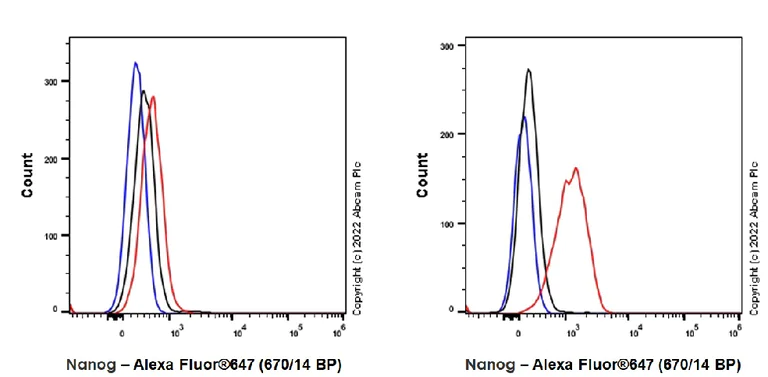 Flow Cytometry (Intracellular) - Alexa Fluor® 647 Anti-Nanog antibody [EPR20694] (AB305045)
