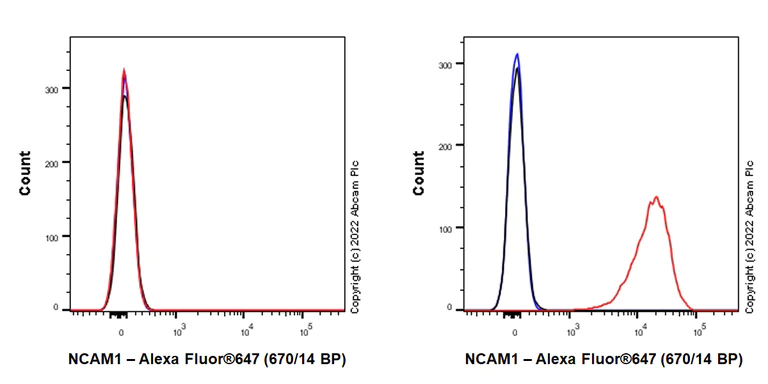 Flow Cytometry - Alexa Fluor® 647 Anti-NCAM1 antibody [EPR21827] (AB302694)