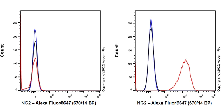 Flow Cytometry - Alexa Fluor® 647 Anti-NG2 antibody [EPR23752-147] (AB307168)