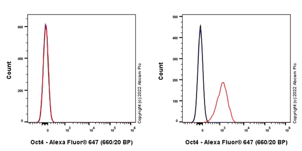 Flow Cytometry (Intracellular) - Alexa Fluor® 647 Anti-Oct4 antibody [EPR17929] (ChIP Grade) (AB300092)