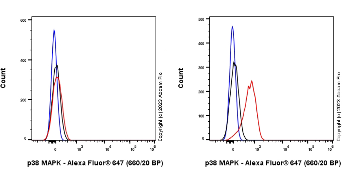 Flow Cytometry (Intracellular) - Alexa Fluor® 647 Anti-p38 alpha/MAPK14 antibody [EPR16878] (AB316872)