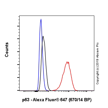 Flow Cytometry (Intracellular) - Alexa Fluor® 647 Anti-p63 antibody [EPR5701] (AB246728), expandable thumbnail