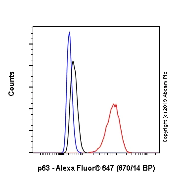 Flow Cytometry (Intracellular) - Alexa Fluor® 647 Anti-p63 antibody [EPR5701] (AB246728)