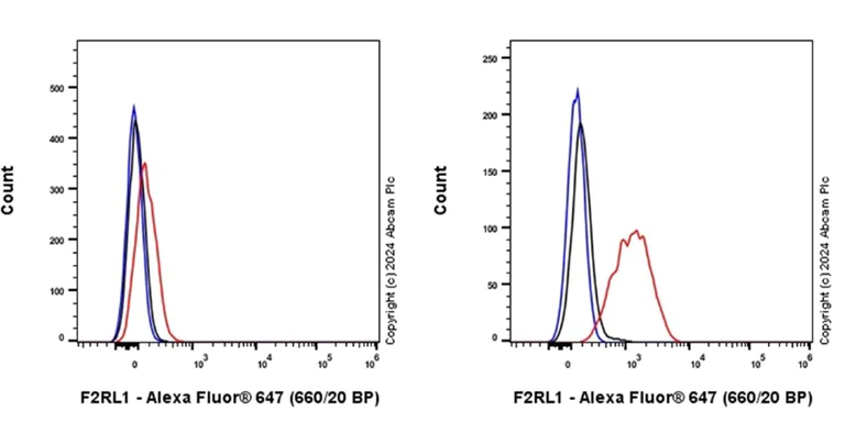Flow Cytometry (Intracellular) - Alexa Fluor® 647 Anti-PAR2 antibody [EPR13675] (AB310107)