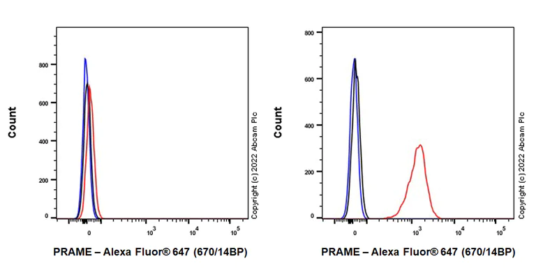 Flow Cytometry (Intracellular) - Alexa Fluor® 647 Anti-PRAME antibody [EPR20330] (AB307630)