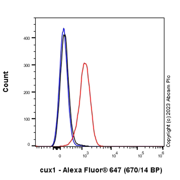 Flow Cytometry - Alexa Fluor® 647 Anti-Protein CASP antibody [EPR18806] (AB312895)