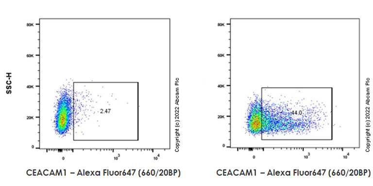 Flow Cytometry - Alexa Fluor® 647 Rabbit IgG, monoclonal [EPR25A] - Isotype Control (AB199093)