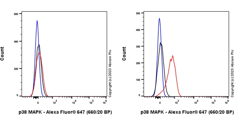 Flow Cytometry (Intracellular) - Alexa Fluor® 647 Rabbit IgG, monoclonal [EPR25A] - Isotype Control (AB199093)