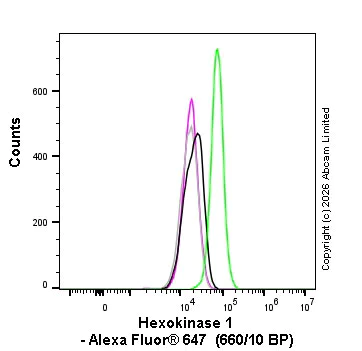 Flow Cytometry (Intracellular) - Alexa Fluor® 647 Rabbit IgG, monoclonal [EPR25A] - Isotype Control (AB199093)