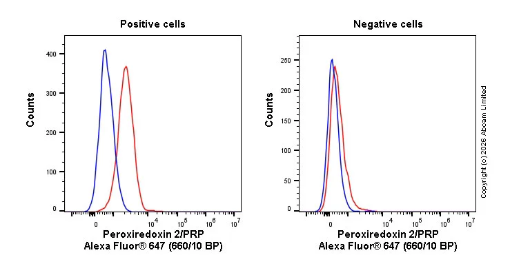 Flow Cytometry (Intracellular) - Alexa Fluor® 647 Rabbit IgG, monoclonal [EPR25A] - Isotype Control (AB199093)