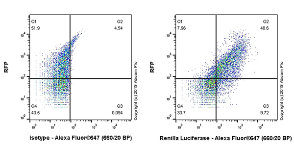 Flow Cytometry - Alexa Fluor® 647 Anti-Renilla Luciferase antibody [EPR17792] (AB225339)