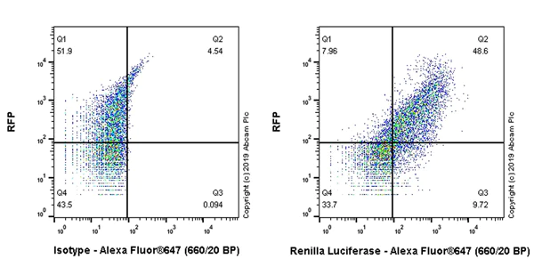 Flow Cytometry - Alexa Fluor® 647 Anti-Renilla Luciferase antibody [EPR17792] (AB225339)