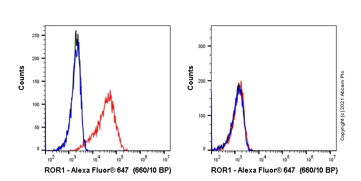 Flow Cytometry (Intracellular) - Alexa Fluor® 647 Anti-ROR1 antibody [EPR24451-141] (AB281331)