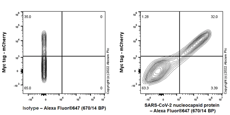 Flow Cytometry - Alexa Fluor® 647 Anti-SARS-CoV-2 nucleocapsid protein antibody [EPR24334-118] (AB302552)