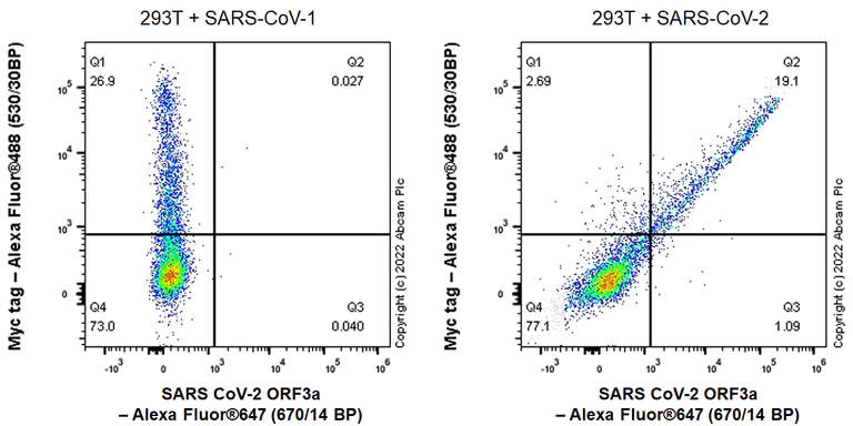 Flow Cytometry (Intracellular) - Alexa Fluor® 647 Anti-SARS CoV-2 ORF3a Protein antibody [EPR24848-9] (AB300675)