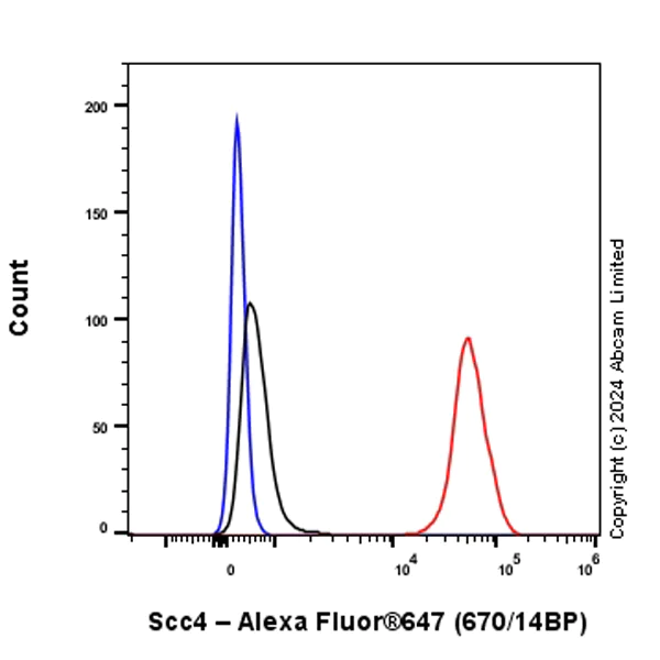 Flow Cytometry (Intracellular) - Alexa Fluor® 647 Anti-Scc4 antibody [EPR14390] (AB322730)