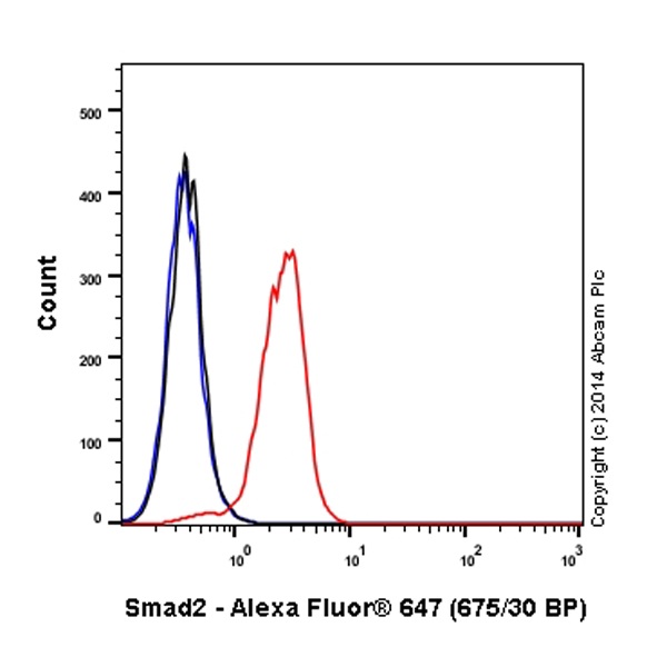 Alexa Fluor 647 Anti-Smad2 antibody [EP567Y]