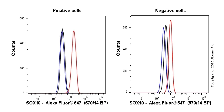 Flow Cytometry (Intracellular) - Alexa Fluor® 647 Anti-SOX10 antibody [SP267] (AB270151)