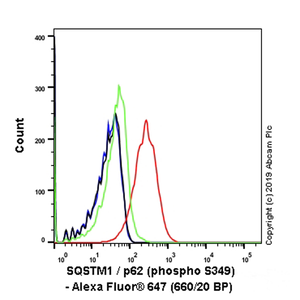 Flow Cytometry (Intracellular) - Alexa Fluor® 647 Anti-SQSTM1 / p62 (phospho S349) antibody [EPR20451] (AB237323)