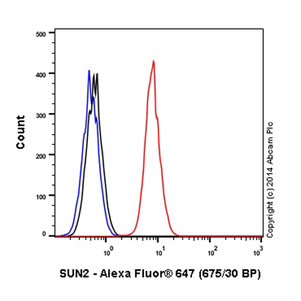 Flow Cytometry (Intracellular) - Alexa Fluor® 647 Anti-SUN2 antibody [EPR6557] (AB198985)