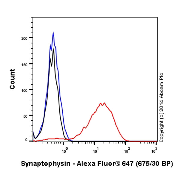 Flow Cytometry - Alexa Fluor® 647 Anti-Synaptophysin antibody [YE269] - Synaptic Marker (AB196166), expandable thumbnail