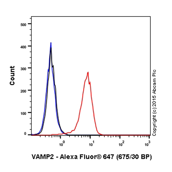Flow Cytometry (Intracellular) - Alexa Fluor® 647 Anti-VAMP2 antibody [EPR12790] (AB198949)