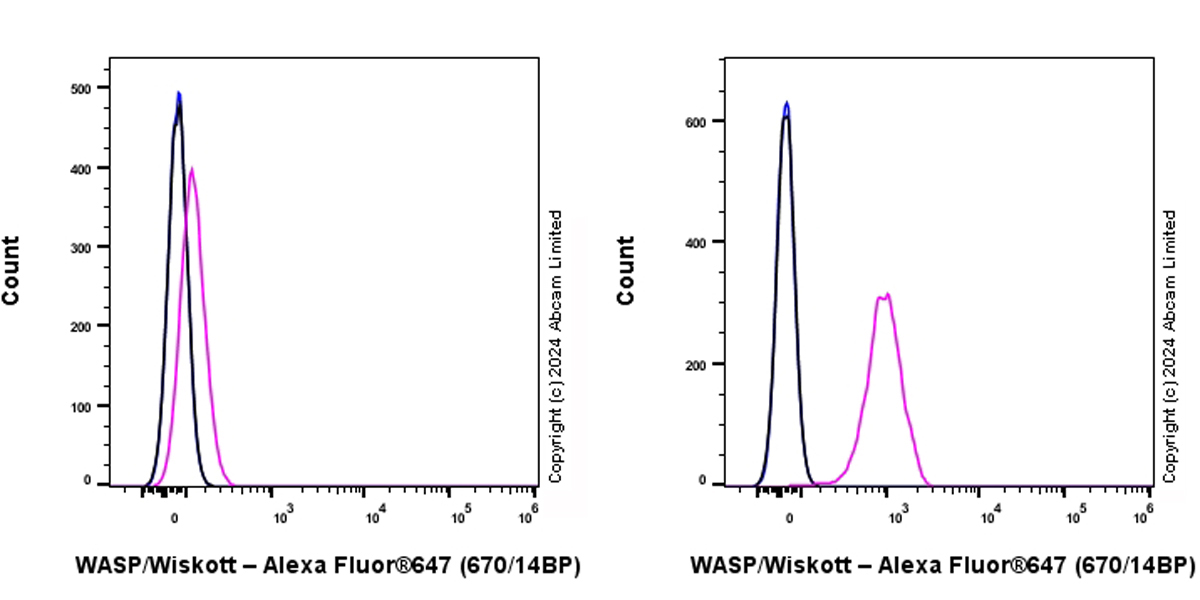 Flow Cytometry (Intracellular) - Alexa Fluor® 647 Anti-WASP/Wiskott-Aldrich syndrome protein antibody [EP2541Y] (AB320116)