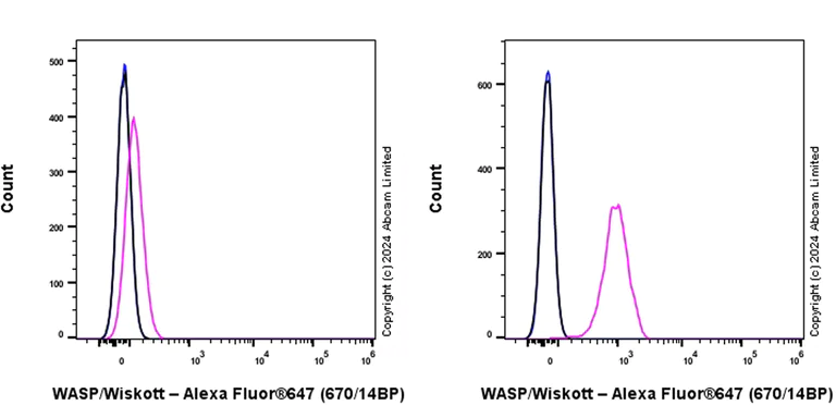 Flow Cytometry (Intracellular) - Alexa Fluor® 647 Anti-WASP/Wiskott-Aldrich syndrome protein antibody [EP2541Y] (AB320116)