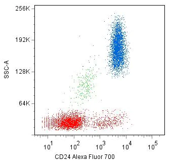 Flow Cytometry - Alexa Fluor® 700 Anti-CD24 antibody [SN3] (AB269310)