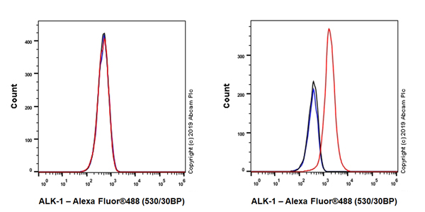 Flow Cytometry - Anti-ALK-1 antibody [EPR22985-125] - BSA and Azide free (AB263868), expandable thumbnail