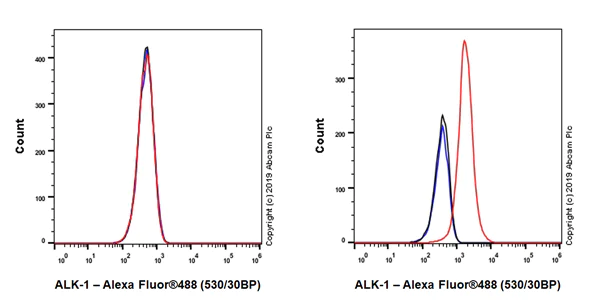 Flow Cytometry - Anti-ALK-1 antibody [EPR22985-125] - BSA and Azide free (AB263868)