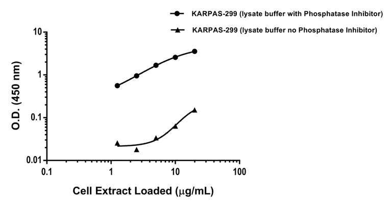 Sandwich ELISA - Anti-ALK antibody [SP144] - BSA and Azide free (Detector) (AB307324)