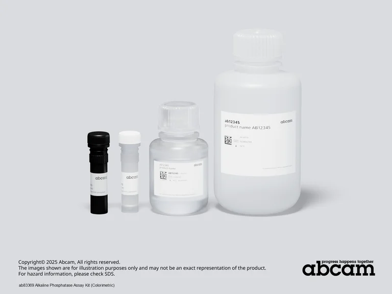 Schematic Diagram - Alkaline Phosphatase Assay Kit (Colorimetric) (AB83369)