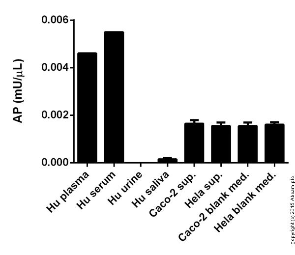 Functional Studies - Alkaline Phosphatase Assay Kit (Fluorometric) (AB83371)
