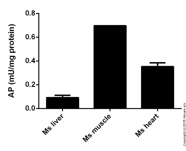 Functional Studies - Alkaline Phosphatase Assay Kit (Fluorometric) (AB83371)
