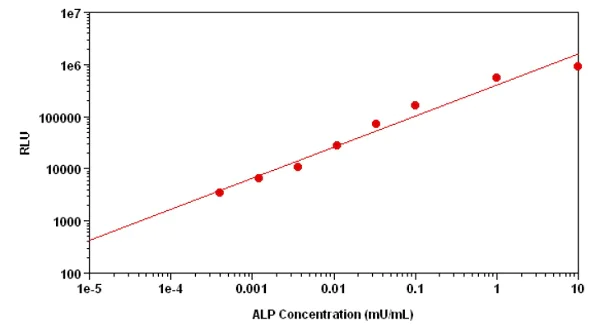 Functional Studies - Alkaline Phosphatase Assay Kit (Luminometric) (AB233466)