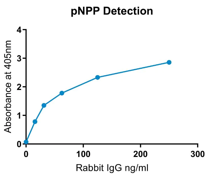 Conjugation - Alkaline Phosphatase Conjugation Kit (Animal Free) - Lightning-Link® (AB269901)