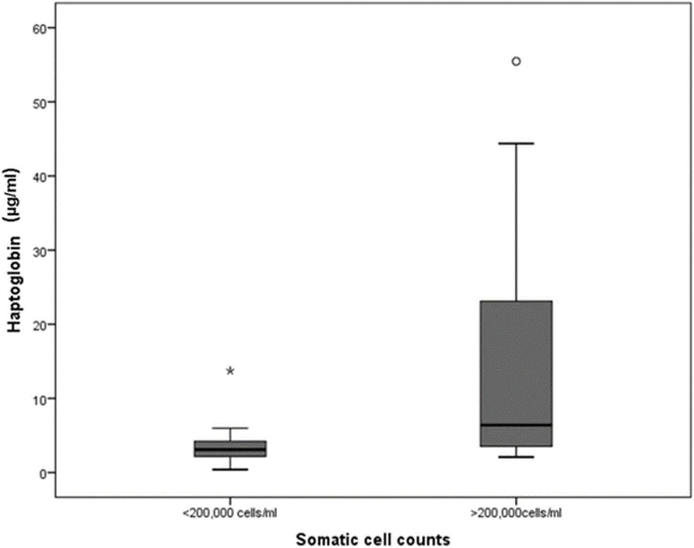 Conjugation - Alkaline phosphatase Conjugation Kit - Lightning-Link® (AB102850)
