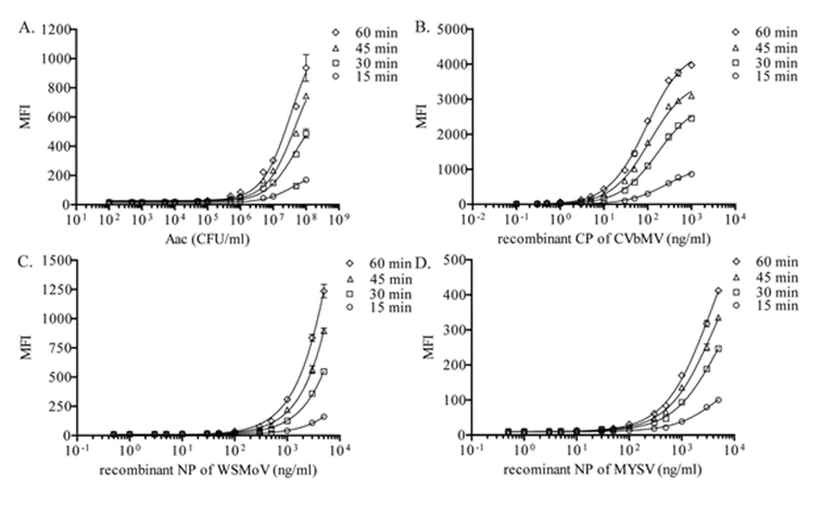 Conjugation - Alkaline phosphatase Conjugation Kit - Lightning-Link® (AB102850)