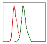 Flow Cytometry - Anti-Alkaline Phosphatase, Tissue Non-Specific antibody [2F4] (AB126820)