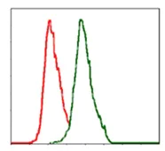 Flow Cytometry - Anti-Alkaline Phosphatase, Tissue Non-Specific antibody [2F4] (AB126820)
