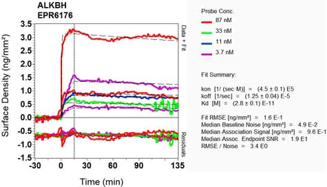 OI-RD Scanning - Anti-ALKBH1 antibody [EPR6176] (AB126596)