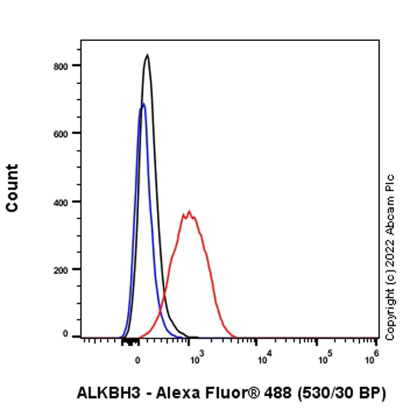Flow Cytometry (Intracellular) - Anti-ALKBH3 antibody [EPR25444-229] - BSA and Azide free (AB307157)