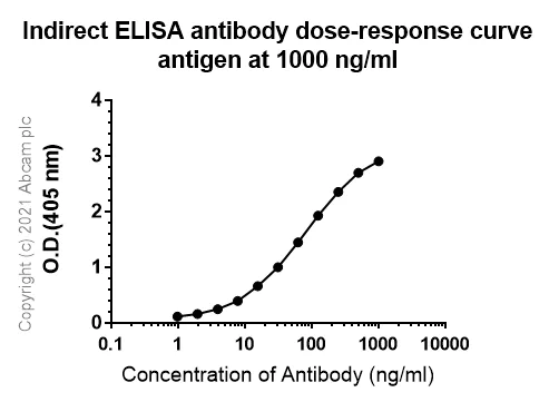Indirect ELISA - Anti-alpha 1 Fetoprotein antibody [RM1011] - BSA and Azide free (AB284396)